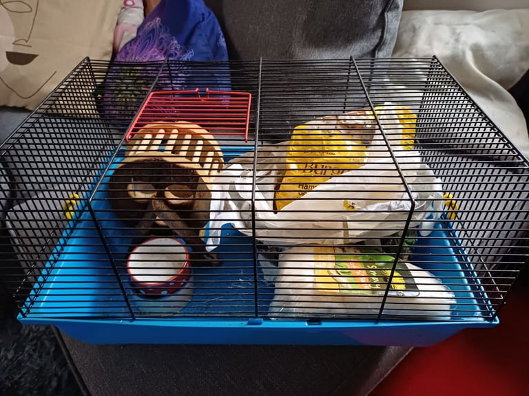 Hamster cage and accessories