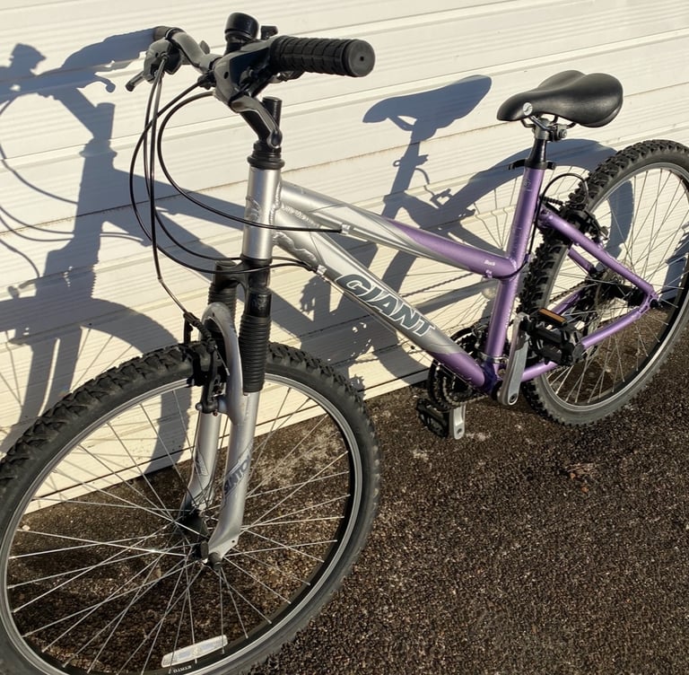 image for Ladies/girls 17” giant mtb bike