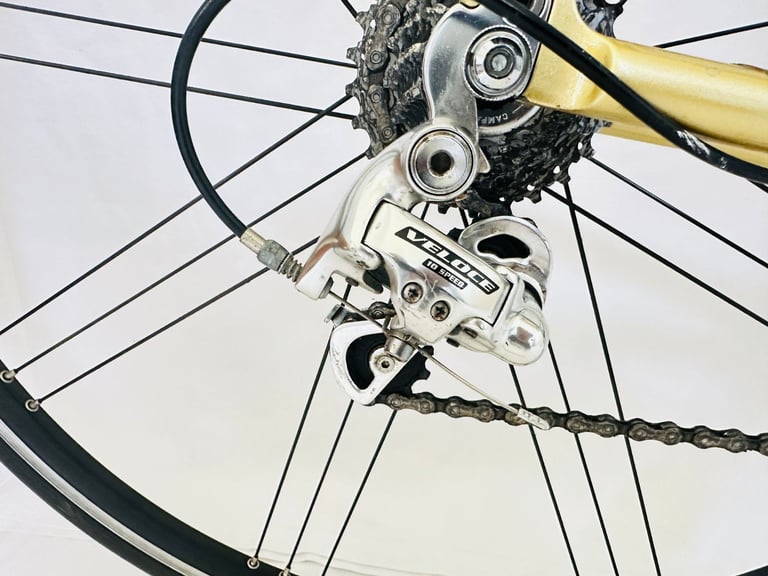 BIANCHI 928 Carbon Size/M Campagnolo Groupset Road Bike WARRANTY 