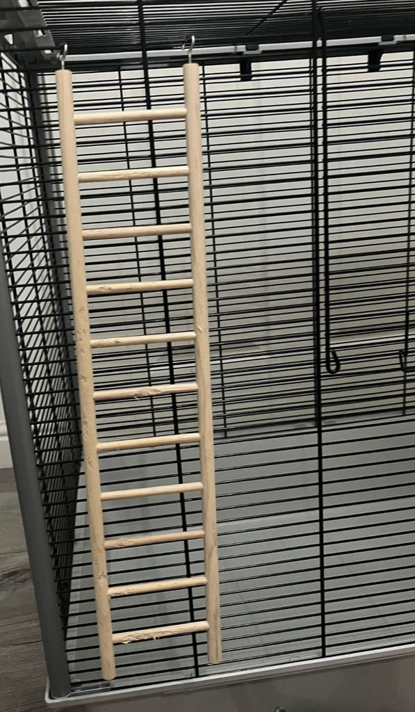 Rat Cage with accessories 