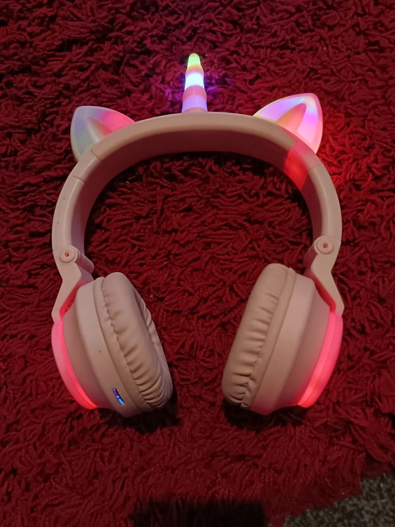 Head phones 