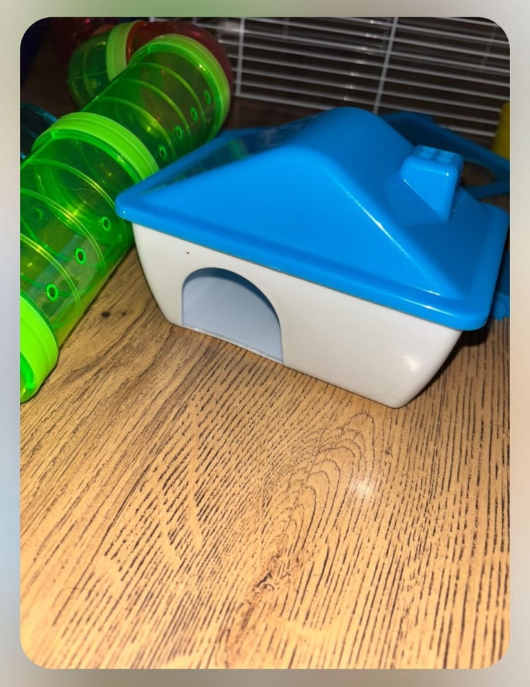 PawHut Hamster Cage, Gerbil Cage 3 Tier with Accessories and some food. Dimension:  59 x 36 x 47 cm