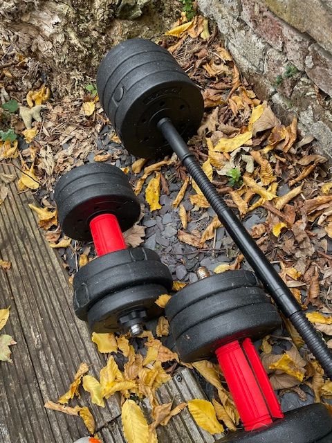 Free Weights Set for Sale - 2 Dumbbells + 1 Barbell 