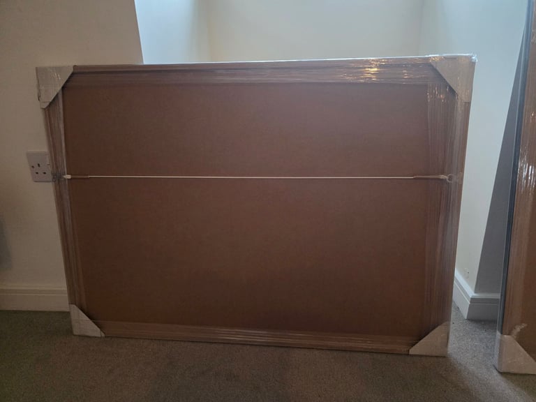 Avatar the last airbender professionally framed artwork