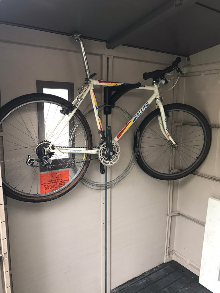 Raleigh team banana mountain sales bike