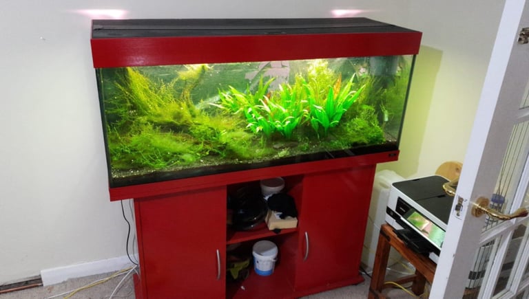 Jewel aquarium 4ft