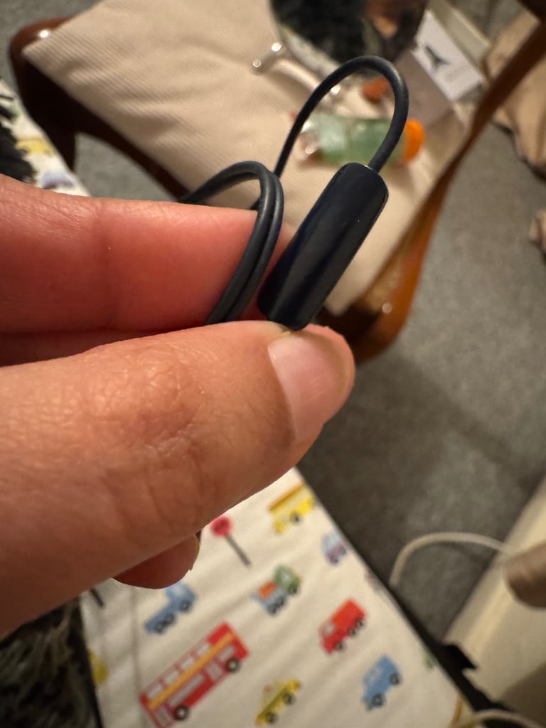 JBL Earphones wired