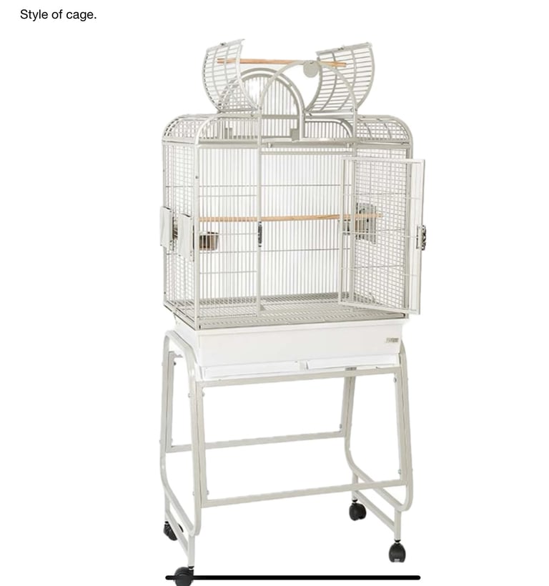 Bird cage with travel cage and accessories