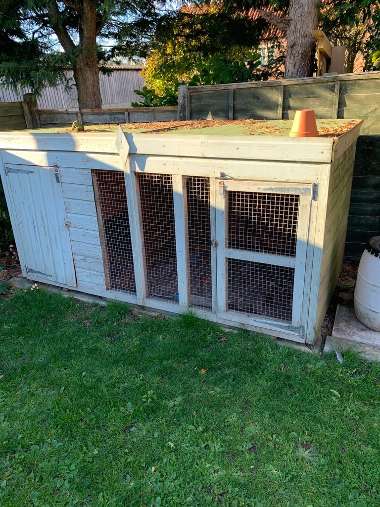 Dog Kennel