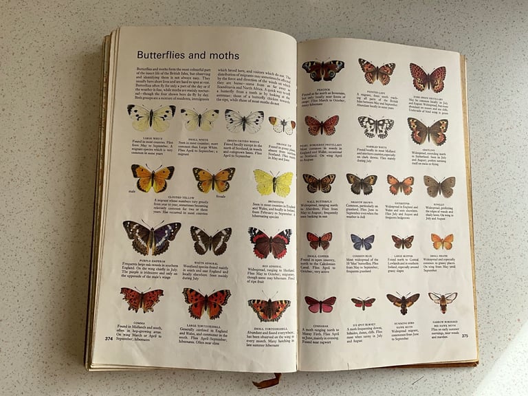The Reader's Digest AA Book of the Road - Vintage book 1967, Maps, Flowers, Butterflies, Sea shells