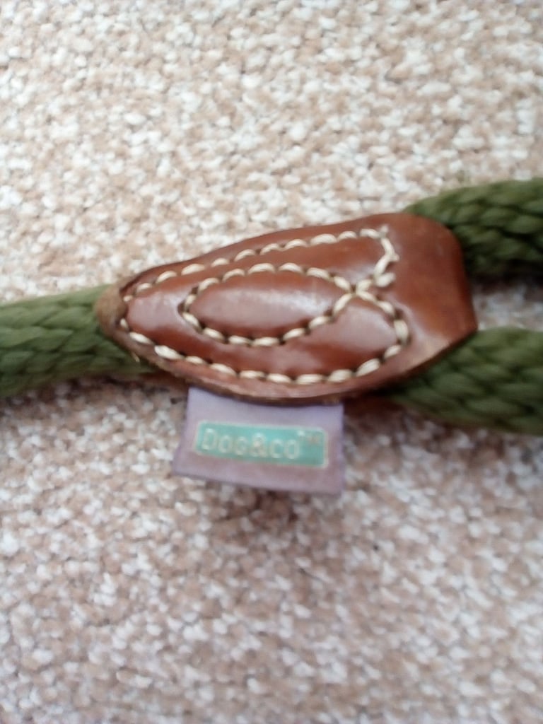 Dog Lead - Dog & Co Green Rope Dog Lead