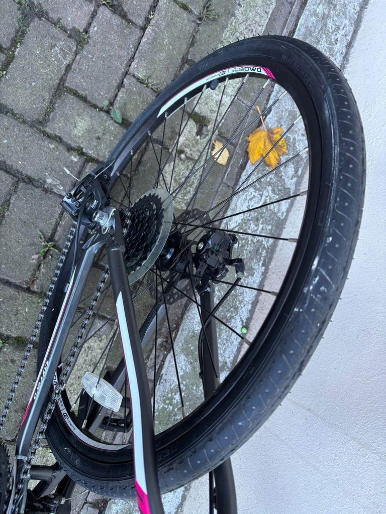 Carrera Vengeance - Excellent condition 