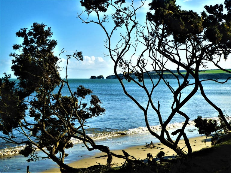 image for Photo Canvas 