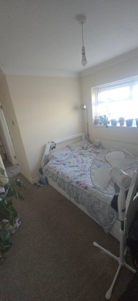 1 double room available near town