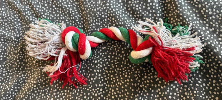 x6 Dog Toys