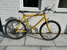 Raleigh Max Bike - Yellow Bicycle