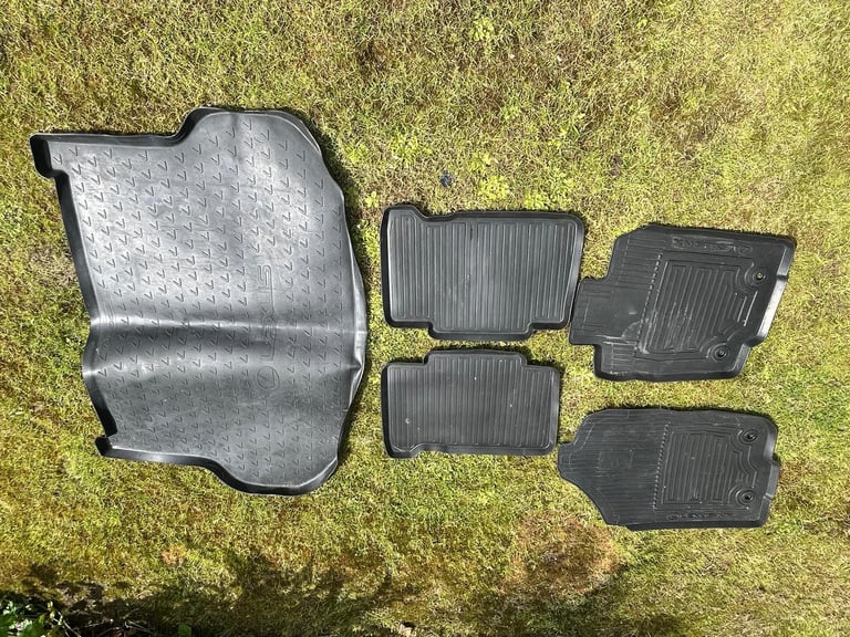image for LexusMs300 2018 Car Rubber Mats