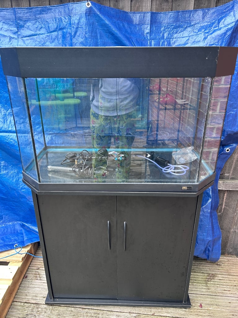140L Fish tank/stand + 2 gold fish