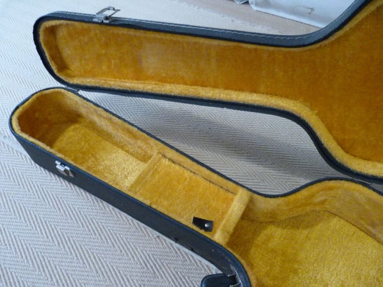 Lined Guitar hard case