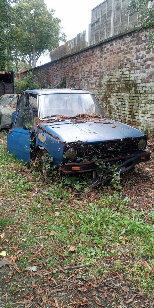 image for Vintage classic Daf 66 Deluxe 