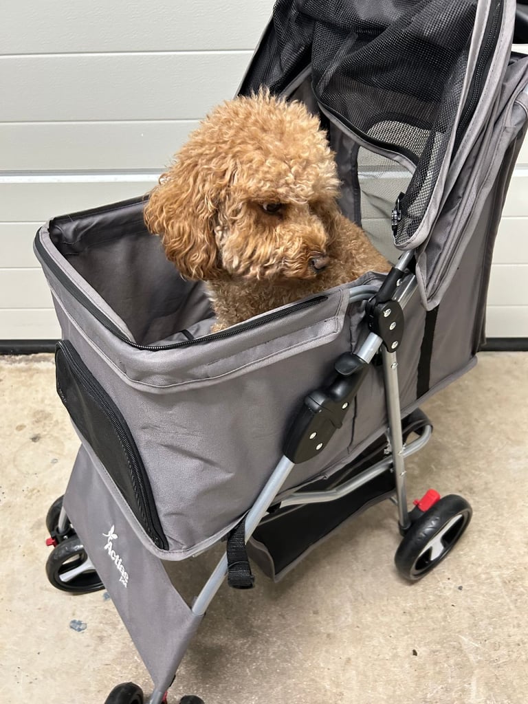 Pet Stroller,  Pet Buggy