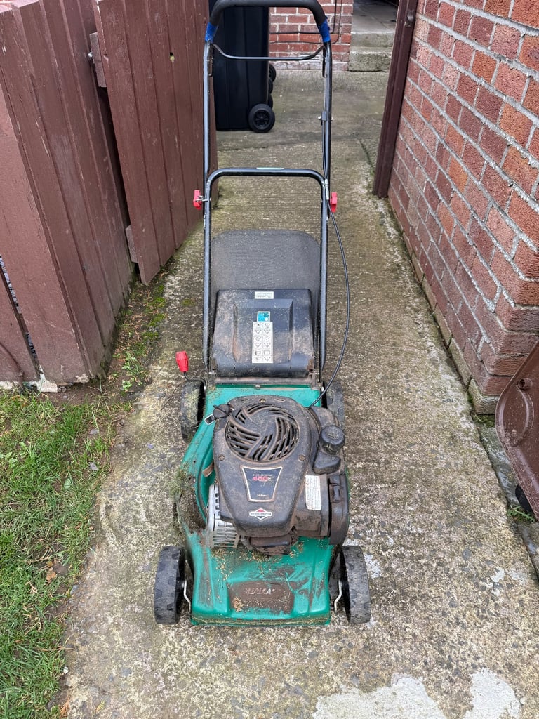 image for Qualcast Petrol Mower