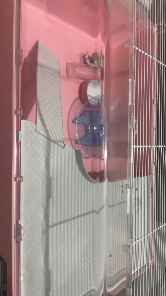Hamster Cage