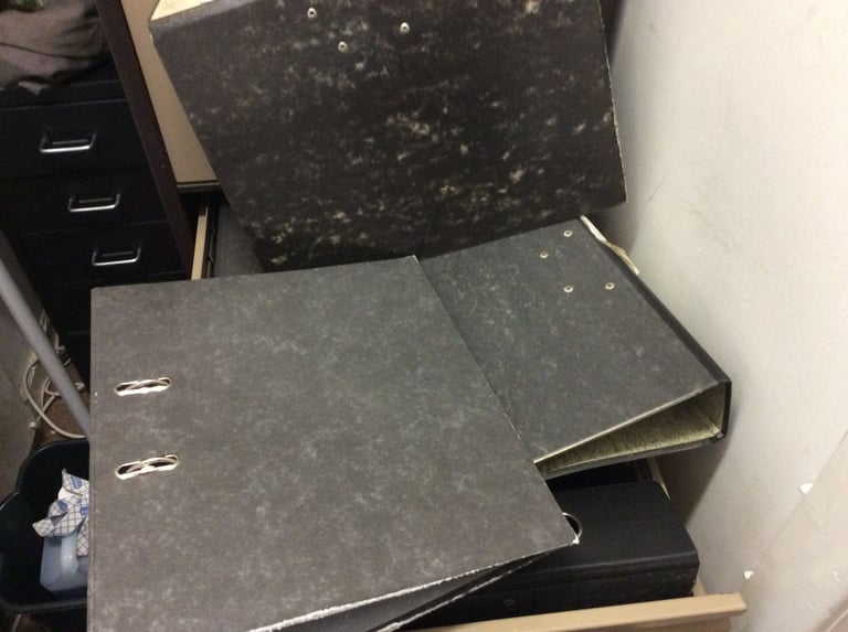 Lever Arch File A4/Foolscap