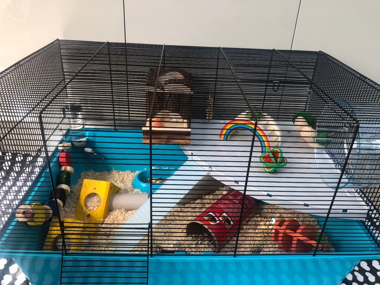 Pets at Home Hamster & Mouse Cage Blue X Large