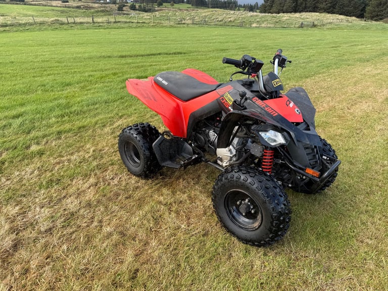 image for Can-am ds 250 quad 
