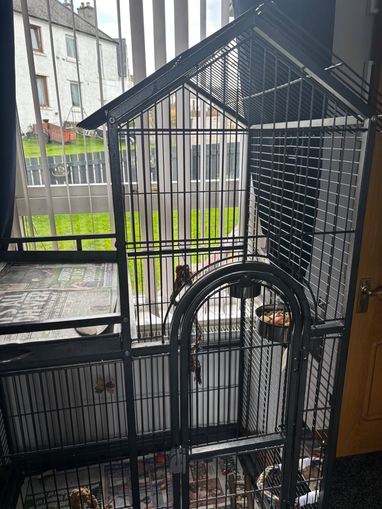 Parrot cage 