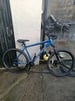 Adults carrera mountain bike 