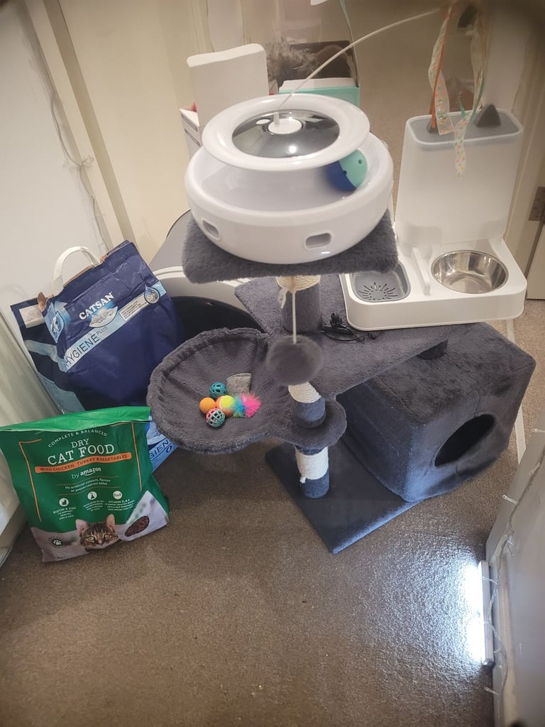 🐾 Complete Cat/Kitten Starter Bundle – Everything You Need! 🐾