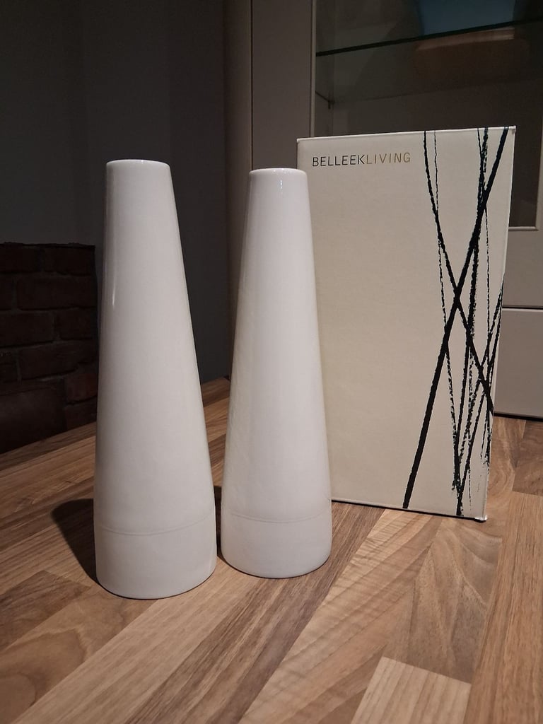 image for Beelleek Living Vases