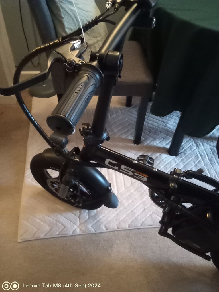 Electrically assisted bicycle