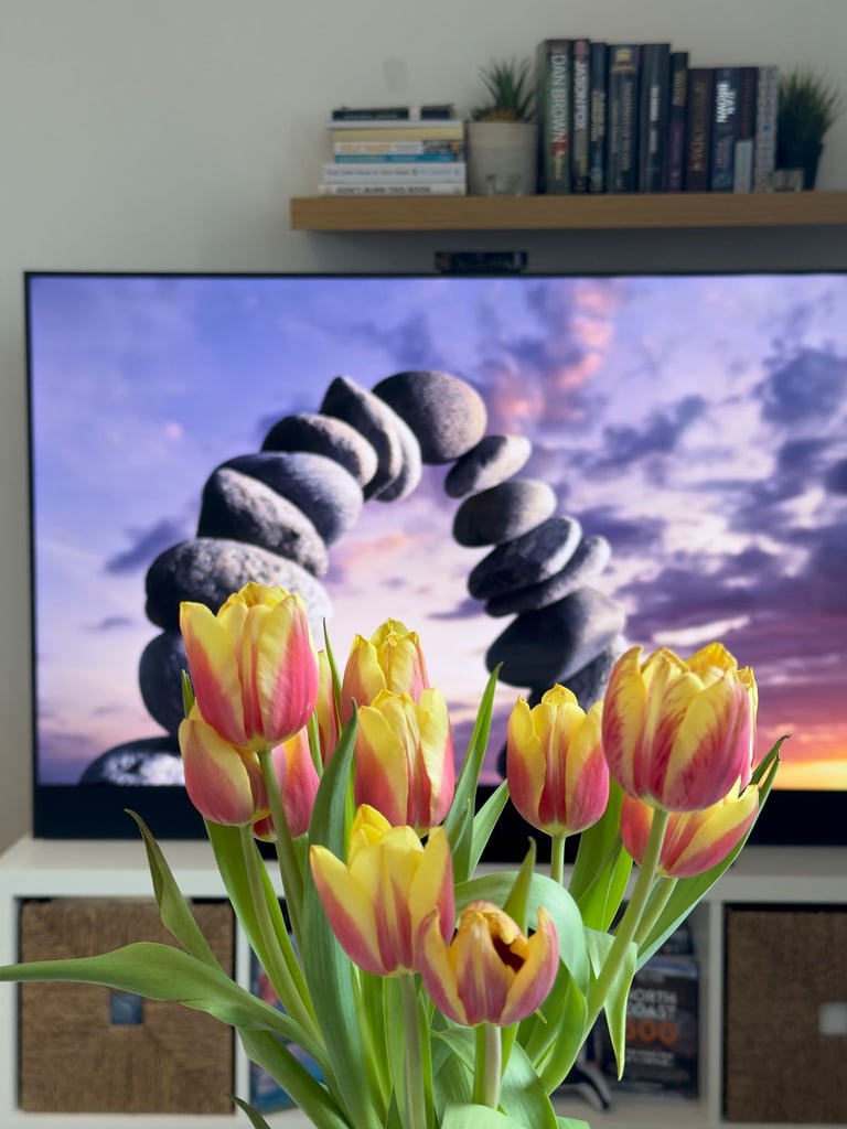 Sky Glass 65” (Gen 1) + Sky Live Camera – Excellent Condition