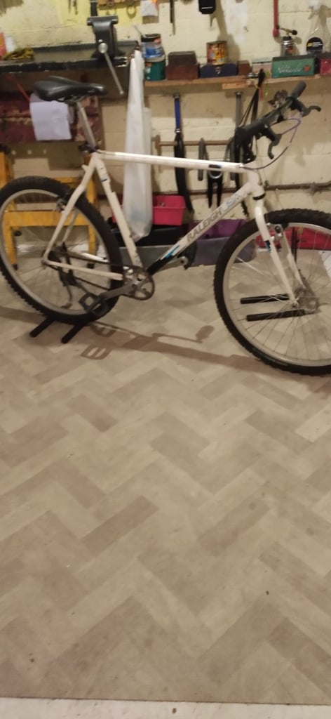 Raleigh mountain bike single speed 
