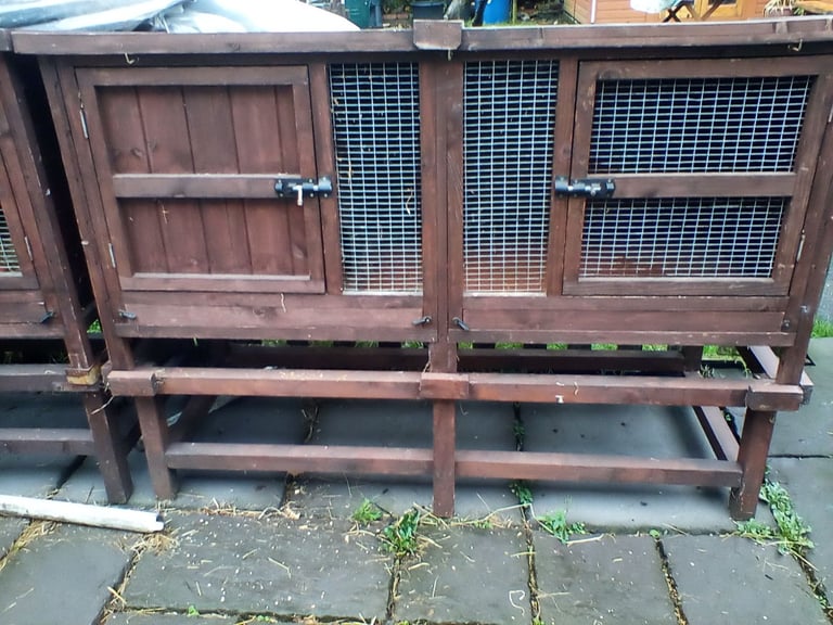 Guinea pig hutch