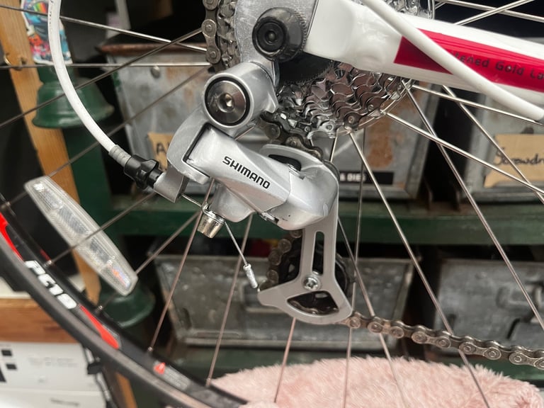 Schwinn fast back 6000 series rd bike 