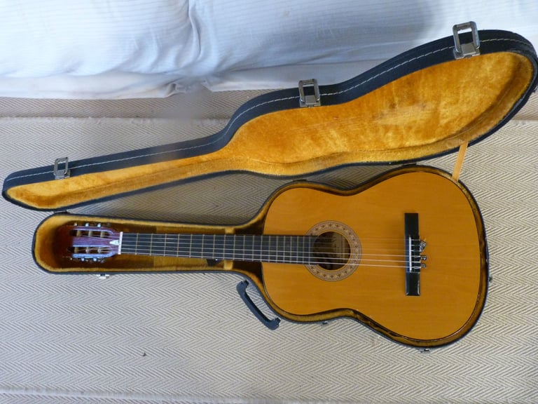 Lined Guitar hard case