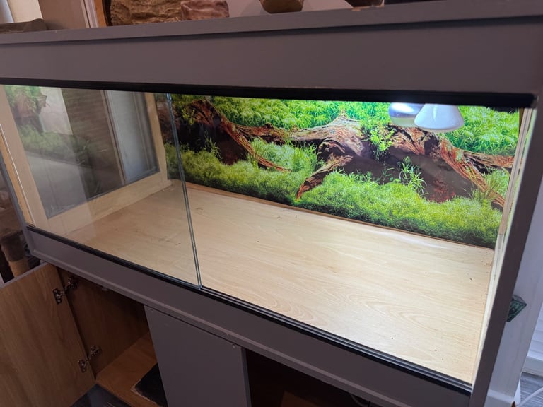 Large Vivarium tank with cabinet 