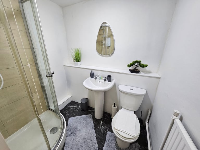 Furnished 1 BR Apt. in Liverpool
