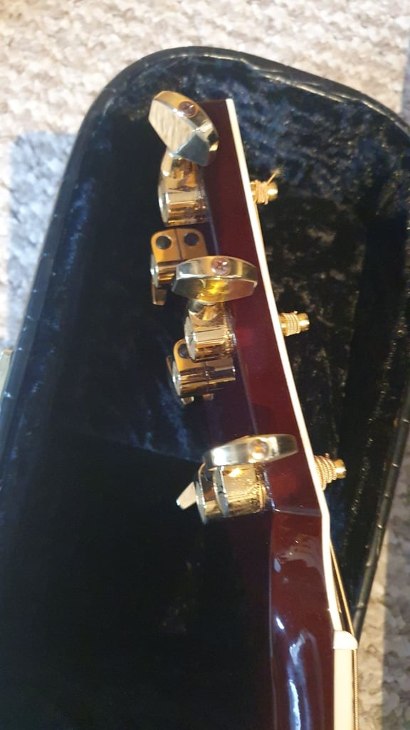 Taylor T5 Custom in KOA wood with Case