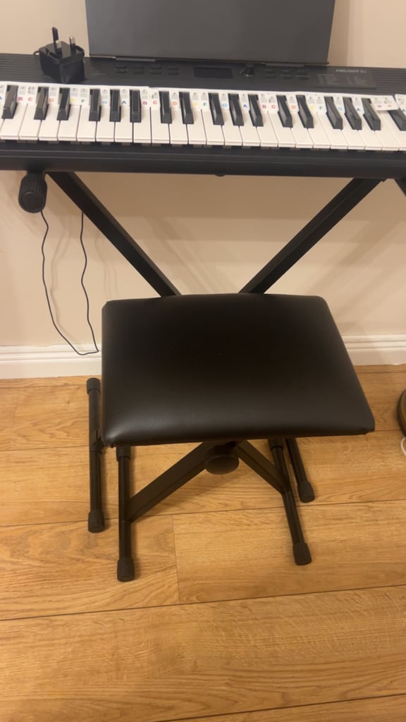 Alesis Melody 61 Keyboard Piano