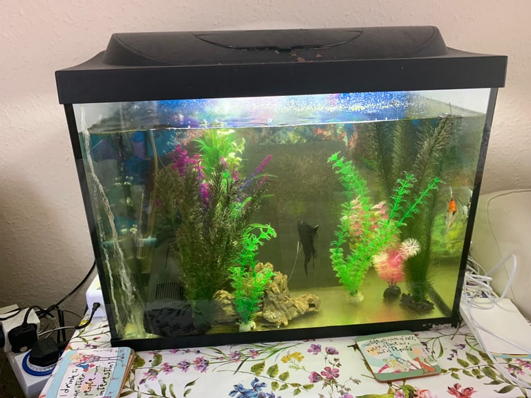 Tropical fish tank complete offers in Lymington, Hampshire