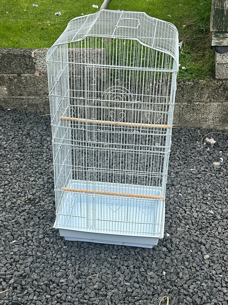 Bird cage available 