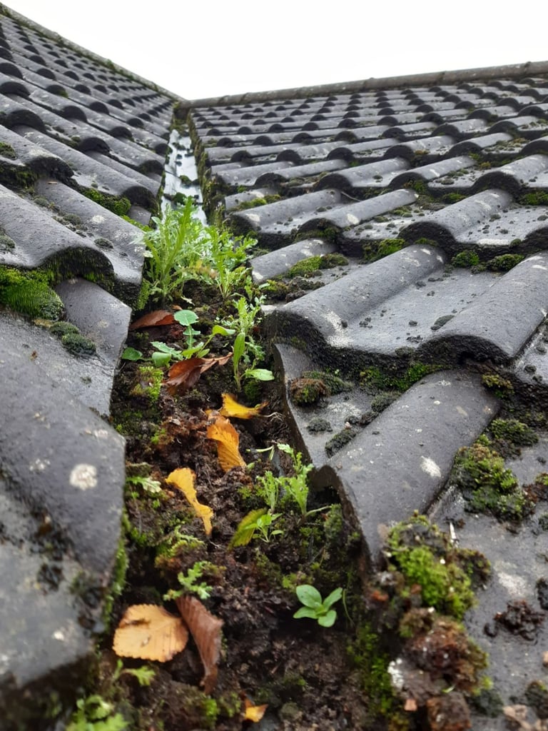 image for Roof repairs from £49…gutter cleaning from £50 chimney flat roof 