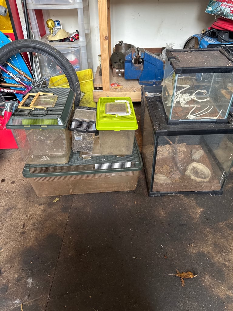 Bug cages Vivarium 