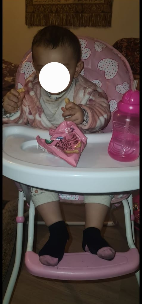 Feed me redkite compact highchair