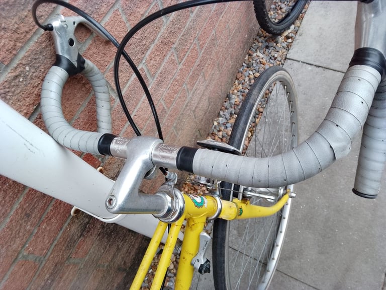 Rare Vintage Ladies F W Evans Reynolds 531 Mixte Frame Road Racing Bike Bicycle
